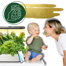 Load image into Gallery viewer, Giardino Idroponico con 12 Capsule per Piante - Ozerty