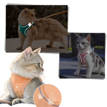 Load image into Gallery viewer, Set imbracatura e guinzaglio per animali - Ozerty