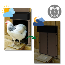 Load image into Gallery viewer, Porta automatica per pollaio - Ozerty