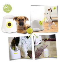 Load image into Gallery viewer, Lanciatore automatico di palline per cani - Ozerty