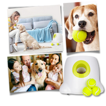 Load image into Gallery viewer, Lanciatore automatico di palline per cani - Ozerty
