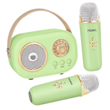 Load image into Gallery viewer, Mini Karaoke Bluetooth a Doppio Microfono per Bambini -Verde - Ozerty