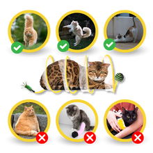 Load image into Gallery viewer, Tunnel interattivo compatto per gatti - Ozerty