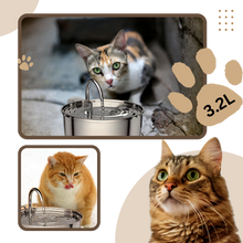 Load image into Gallery viewer, Fontana per gatti di grande capacità - Ozerty