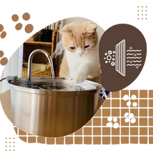 Load image into Gallery viewer, Fontana per gatti di grande capacità - Ozerty