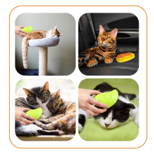 Load image into Gallery viewer, Spazzola multifunzione per gatti - Ozerty