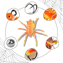 Load image into Gallery viewer, Esche ragno a movimento naturale - Ozerty