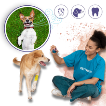 Load image into Gallery viewer, Gel Orale per Animali Domestici - Ozerty