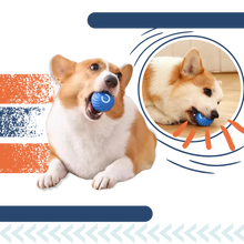 Load image into Gallery viewer, Palla intelligente anti-ostacoli per cani - Ozerty