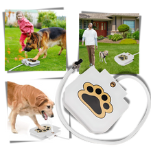 Load image into Gallery viewer, Fontana d'acqua per cani con attivazione a pedale - Ozerty