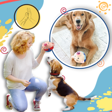 Load image into Gallery viewer, Palla Giocattolo con Sensore per Animali Domestici - Ozerty