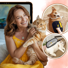 Load image into Gallery viewer, Guanto per rimuovere i peli di animali domestici - Ozerty