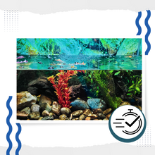 Load image into Gallery viewer, Alghicida preventivo per acquari - Ozerty
