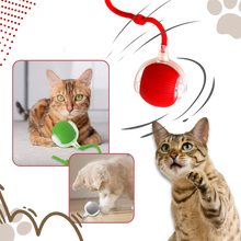 Load image into Gallery viewer, Palla interattiva intelligente per gatti - Ozerty