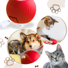 Load image into Gallery viewer, Palla interattiva intelligente per gatti - Ozerty