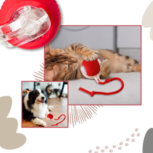 Load image into Gallery viewer, Palla interattiva intelligente per gatti - Ozerty