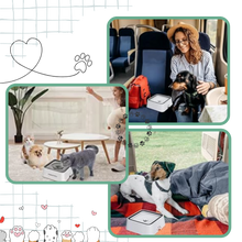 Load image into Gallery viewer, Fontanella per Cani Anti-Schizzo - Ozerty