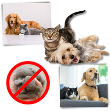 Load image into Gallery viewer, Spazzola per cani e gatti per la rimozione del pelo - Ozerty