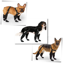 Load image into Gallery viewer, Stivali con bretelle impermeabili per cani - Ozerty