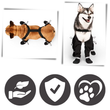 Load image into Gallery viewer, Stivali con bretelle impermeabili per cani - Ozerty