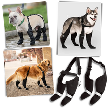 Load image into Gallery viewer, Stivali con bretelle impermeabili per cani - Ozerty