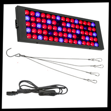 Load image into Gallery viewer, Lampada da coltivazione a LED sospesa a spettro completo
