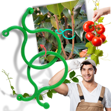 Load image into Gallery viewer, Confezione di fermi per piante da giardino - Ozerty
