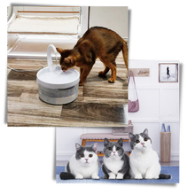 Load image into Gallery viewer, Fontana d'acqua automatica per gatto con luce LED - Ozerty
