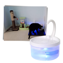 Load image into Gallery viewer, Fontana d'acqua automatica per gatto con luce LED - Ozerty
