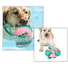 Load image into Gallery viewer, Giocattolo per cani palla frisbee - Ozerty
