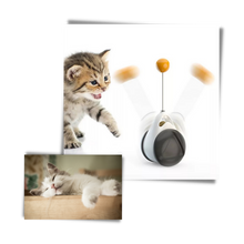 Load image into Gallery viewer, Palla giocattolo interattiva per gatti - Ozerty
