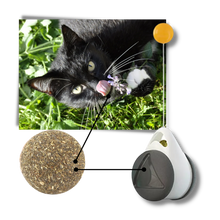 Load image into Gallery viewer, Palla giocattolo interattiva per gatti - Ozerty
