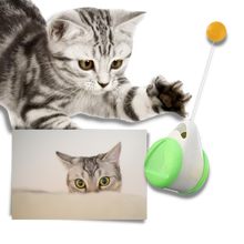 Load image into Gallery viewer, Palla giocattolo interattiva per gatti - Ozerty
