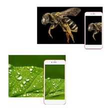 Load image into Gallery viewer, Microscopio digitale USB con LED
