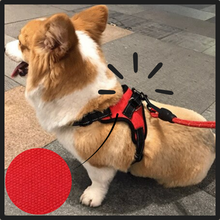 Load image into Gallery viewer, Imbracatura per cani a sella regolabile riflettente - Ozerty
