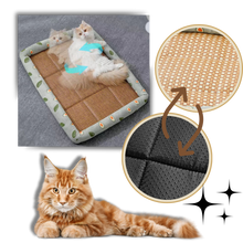 Load image into Gallery viewer, Tappetino per animali domestici con tecnologia di raffreddamento antiscivolo - Ozerty

