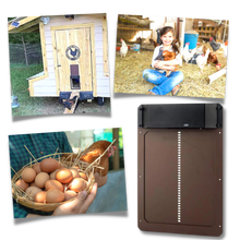 Load image into Gallery viewer, Porta automatica per pollaio - Ozerty

