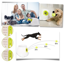 Load image into Gallery viewer, Lanciatore automatico di palline per cani - Ozerty
