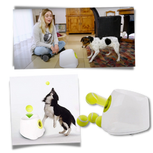 Load image into Gallery viewer, Lanciatore automatico di palline per cani - Ozerty
