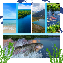 Load image into Gallery viewer, Calendario dell'Avvento della Pesca  - Ozerty
