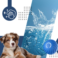Load image into Gallery viewer, Palla intelligente anti-ostacoli per cani - Ozerty
