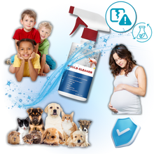 Load image into Gallery viewer, Neutralizzatore di Odori ed Eliminatore di Muffa - Ozerty
