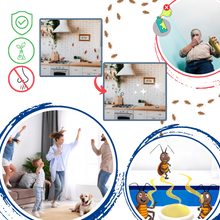 Load image into Gallery viewer, Trappole per scarafaggi inodore - Ozerty
