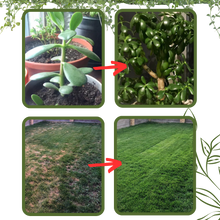 Load image into Gallery viewer, Attivatore del suolo con nutrienti organici - Ozerty
