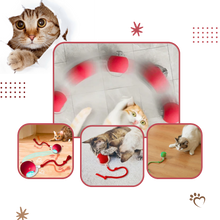 Load image into Gallery viewer, Palla interattiva intelligente per gatti  - Ozerty
