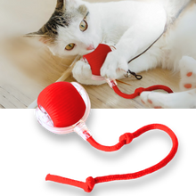 Load image into Gallery viewer, Palla interattiva intelligente per gatti  - Ozerty
