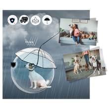 Load image into Gallery viewer, Guinzaglio a Ombrello Trasparente per Cani - Ozerty
